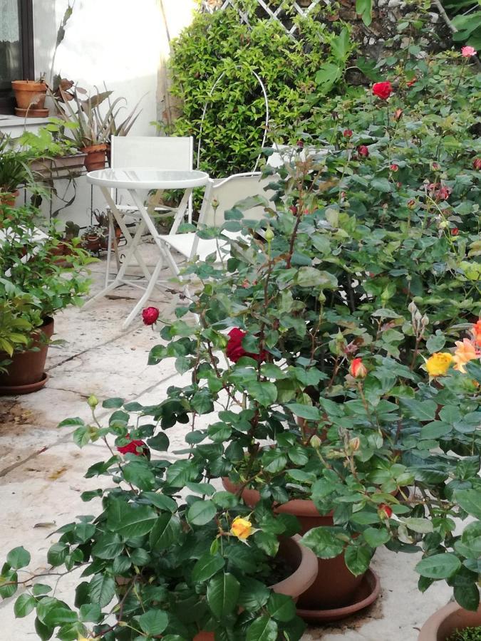 B&B Le Ortensie Castagnole Экстерьер фото