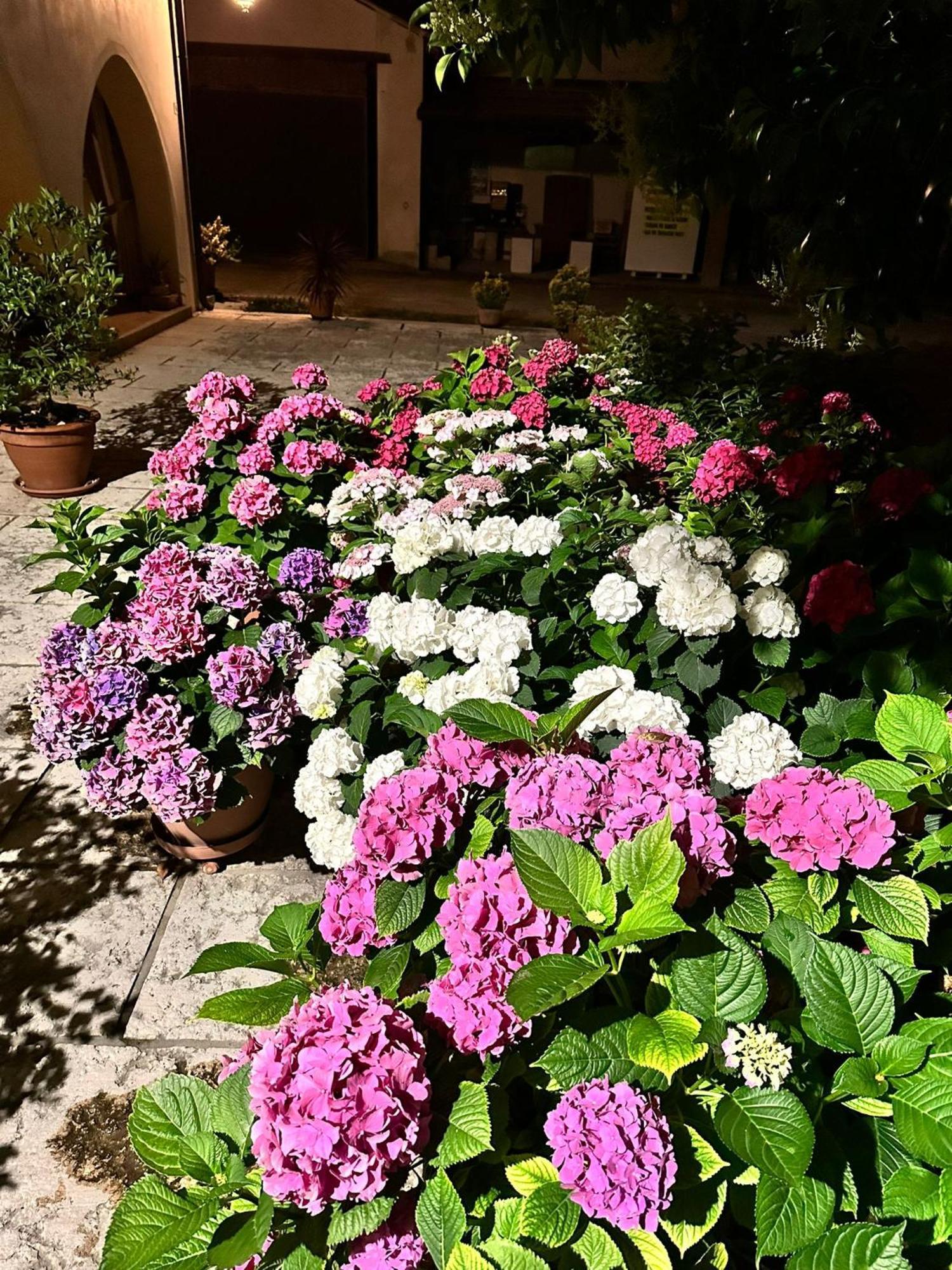B&B Le Ortensie Castagnole Экстерьер фото